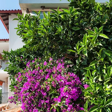 Xenios Loutra Village Mary'S House Agia Paraskevi  Exteriör bild