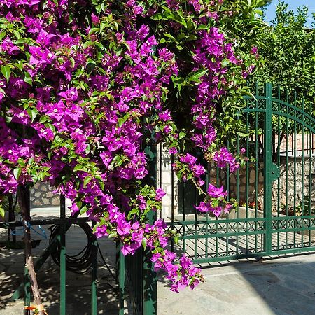 Xenios Loutra Village Mary'S House Agia Paraskevi  Exteriör bild