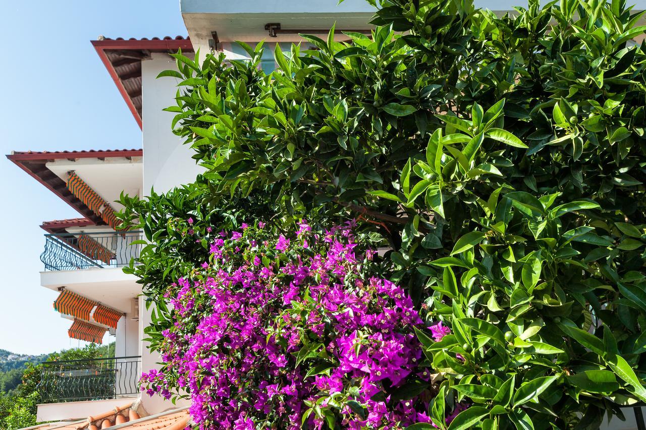 Xenios Loutra Village Mary'S House Agia Paraskevi  Exteriör bild